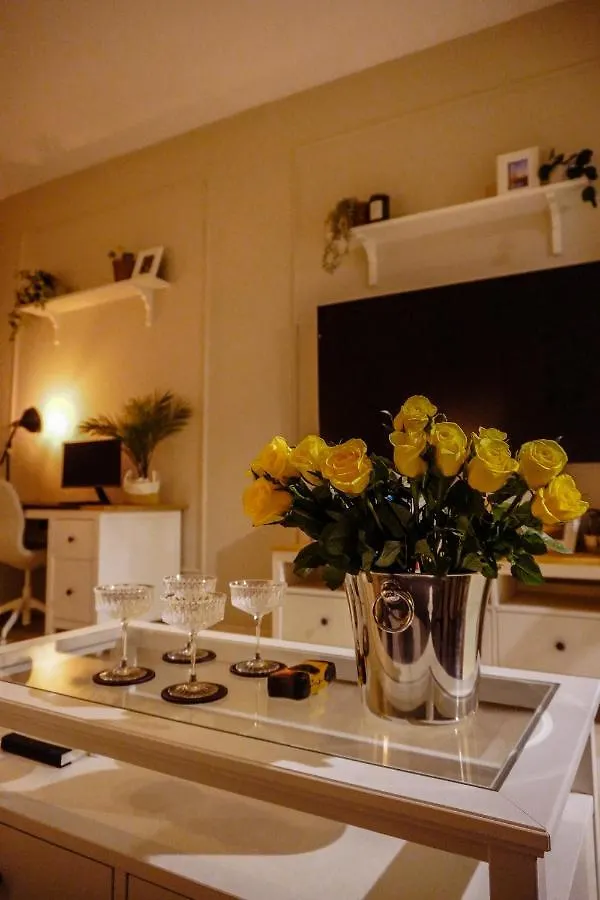 Apartment Chic Studio In Dubai Downtown